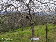 Land parcel, Ground area for sale in the suburbs of Batumi, Georgia. Photo 3