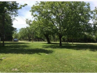 Wooden cottage for sale. House for sale with a plot of land in the suburbs of Samtredia, Georgia. Photo 3