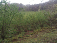 Land parcel, Ground area for sale in a picturesque place. Natural spring. Photo 3