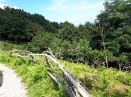 Land parcel, Ground area for sale in the suburbs of Batumi, Georgia. Photo 4