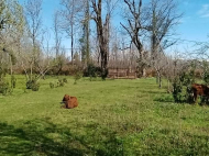 Land parcel, Ground area for sale in the suburbs of Senaki, Georgia. Natural spring, Orchard, Walnut garden. Near the river. Photo 5