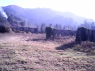 Ground area ( A plot of land ) for sale in Gonio, Georgia. Livestock farm. Photo 7