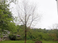 House for sale with a plot of land in Natanеbi. House for sale in a resort district of Natanebi, Georgia. Photo 10