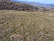 Land parcel, Ground area for sale in Khashuri, Georgia. Photo 3