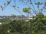 Купить земельный участок в пригороде Батуми, Урехи. Участок с видом на море. Фото 1