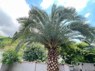 Продается частный дом с земельным участком в Эрге, Грузия. У реки. Природный родник. Фото 16