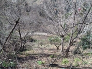 Ground area for sale in a resort district of Kobuleti, Georgia. Photo 1