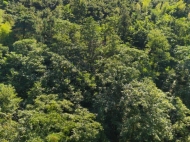 Продается земельный участок в живописном месте. Земельный участок в курортной зоне Чакви, Грузия. Фото 6