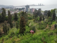 House for sale with a plot of land in the suburbs of Batumi, Georgia. Sea view. Photo 31
