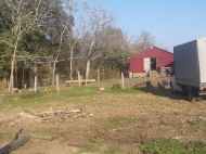 Земельный участок с животноводческой фермой в Нанатеби, Грузия. Виноградник. Ореховый сад. Фото 25