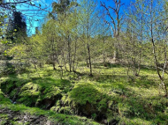 იყიდება მიწის ნაკვეთი ურეკში, საქართველო. ფოტო 4