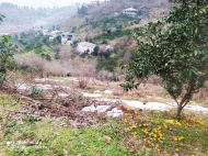 Land parcel, Ground area for sale in the suburbs of Batumi, Khelvachauri. Photo 1