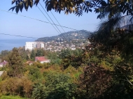 Продаются участок в Махинджаури с видом на море и город Грузия Фото 2