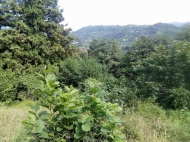 Продажа земельного участка в селе Хелвачаури, Аджария, Грузия. Фото 1