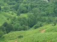 Участок с видом на горы в тихом районе в Ортабатуми, Батуми, Грузия. Фото 9