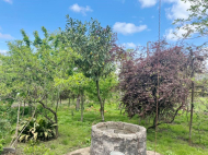 House for sale with a plot of land in the suburbs of Ozurgeti, Georgia. Near the river. Photo 3