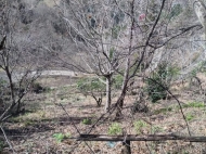 Ground area for sale in a resort district of Kobuleti, Georgia. Photo 3