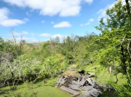 House for sale with a plot of land in the suburbs of Ozurgeti, Georgia. Near the river. Photo 10