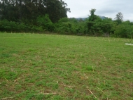 Land parcel for sale at the seaside of Chakvi. Ground area for sale in a quiet district of Chakvi. Batumi, Georgia. Photo 3