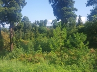 Земельный участок на продажу в Цихисдзири. Участок с видом на море и горы в Цихисдзири, Грузия. Фото 5