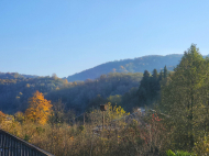 Private house for sale with a small plot of land in Lanchkhuti district, Georgia. Photo 14