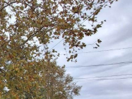 Купить дом с земельным участком в Самтредиа, Грузия. Фото 19