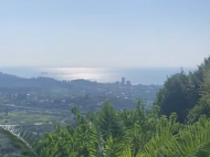 იყიდება კერძო სახლი მანდარინის ბაღთან ერთად. ჩაქვი. აჭარა. საქართველო. ფოტო 12