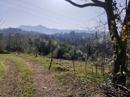 იყიდება მიწის ნაკვეთი ზღვისა და მთების ხედით ციხისძირში. საქართველო ფოტო 2