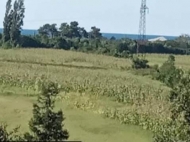 Land parcel, Ground area for sale at the seaside of Bobokvati, Georgia. Photo 1