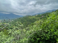 House for sale with a plot of land in the suburbs of Batumi, Tkhilnari. Photo 17