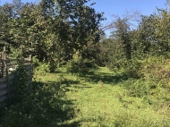 Продается земельный участок в Какути, Грузия. Ореховый сад. Фото 3