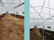 An existing agricultural complex for sale. Greenhouse. Photo 5