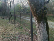 House for sale with a plot of land in the suburbs of Ozurgeti, Georgia. Orchard. Walnut garden. Natural spring. Photo 11