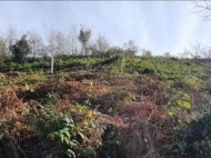 Продается земельный участок в пригороде Батуми, Ортабатуми. Фото 4