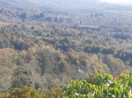 Земельный участок для фермы в Ланчхути, Грузия. Фото 3