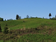 Участок в Чакви, Грузия. Купить земельный участок в Чакви на оживленной трассе Тбилиси-Батуми. Фото 3