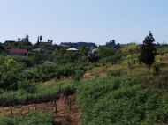 Участок в Чакви, Грузия. Купить земельный участок в Чакви на оживленной трассе Тбилиси-Батуми. Фото 4
