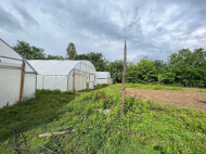 House for sale with a plot of land in the suburbs of Kutaisi, Georgia. Working business. Greenhouse. Photo 5