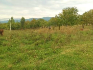 Land parcel, Ground area for sale in Surami, Georgia. Photo 1