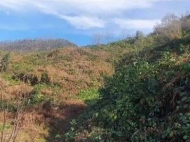 Продается земельный участок в пригороде Батуми, Грузия. Вид на море и горы. Фото 4