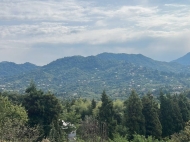 Дом на продажу в Цихисдзири. Продается дом с видом на горы в Цихисдзири, Грузия. Фото 12