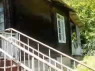 Купить частный дом с земельным участком в пригороде Чохатаури, Грузия. Фруктовый сад. Ореховый сад. Фото 2