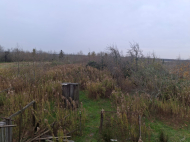 Продается частный дом в Супса, Грузия. Фото 19