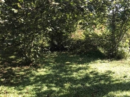 Продается земельный участок в Какути, Грузия. Ореховый сад. Фото 2