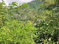 Участок на продажу в Ахалшени. Купить земельный участок с видом на горы в Ахалшени, Батуми, Грузия. Фото 3