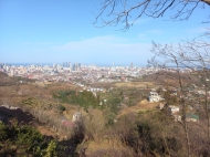 Land parcel, Ground area for sale in the suburbs of Batumi, Georgia. Photo 3