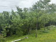 House for sale with a plot of land in Ozurgeti, Georgia. Photo 13