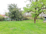 House for sale with a plot of land in the suburbs of Senaki, Georgia. Orchard. Walnut garden. Near the river. Photo 10