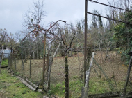 Купить дом с земельным участком в пригороде Озургети, Грузия. Фруктовый сад. Ореховый сад. У реки. Фото 12