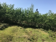 Land parcel for sale in Makhinjauri, Adjara, Georgia. Orchard and tangerine garden. Natural spring water. Photo 11